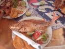 pescado Fresco