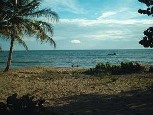 Playa los Uveros