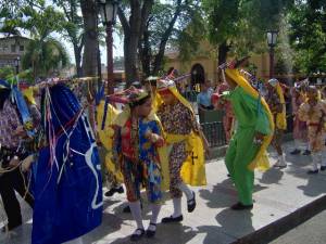 danzantes de palo negro