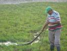 Hato El Cedral
