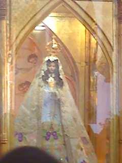 la virgen y el dr. jose g, hernandez