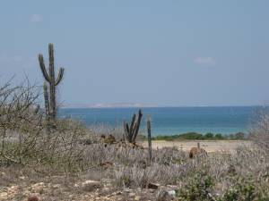 Playas de Margarita