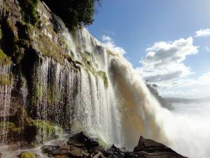 SALTO EL SAPITO