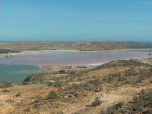 la salinas de araya 