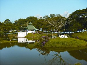 Laguna