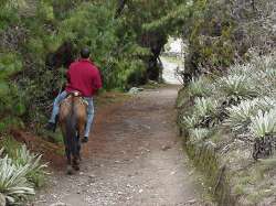 Camino a Caballo