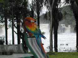 Guacamaya, Waku Lodge
