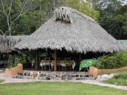 Restaurant, Waku Lodge
