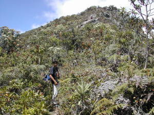 La cima del pico Occidental