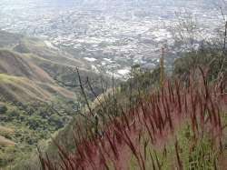 Les herbes rouges qui donnent à l'Avila une couleur très spéciale à cette époque de l'année