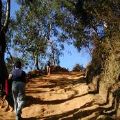 Sabas Nieves