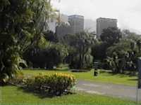 Jardín Botánico en la Universidad Central
