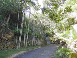Camino a las Cuevas del Indio