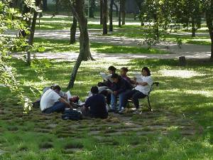 Estudiando en los jardines de la UCV