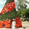 Navidad