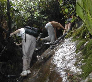 subiendo al cerro santa ana