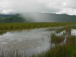 Lluvia en Río de Agua en la península de Paria