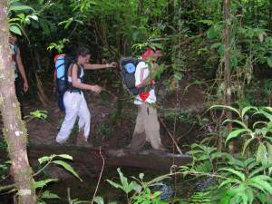 caminando por la sabana