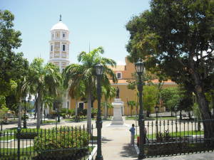 Plaza Bolívar y Catedral