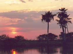 Atardecer en el Manglar, Hato Pi�ero