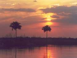 Atardecer en el manglarcito, Hato Pi�ero