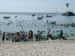 The arrival of the fishermen