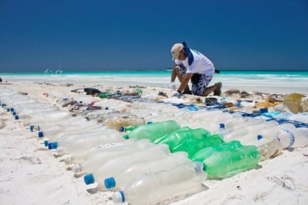 Reciclando los desechos