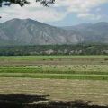 El Tocuyo