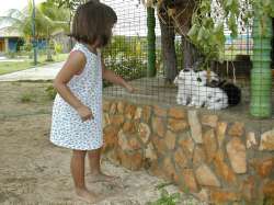 Animales en la Troja