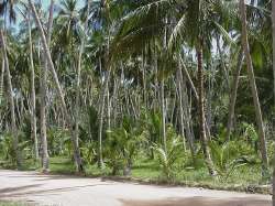 Playa Medina