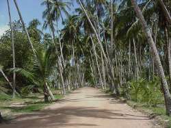 Playa Medina (Plage Medina)