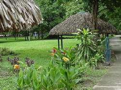 Los jardines del parque