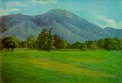 Elisa Elvira Zuloaga - Silla de Caracas