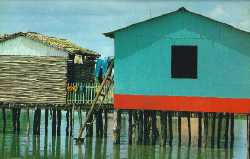 Casas sobre a água, na laguna de Sinamaica