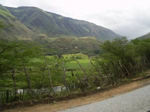 Carretera El Tocuyo-Humocaro Bajo