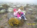 Frailejones en el Paramo