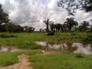 Mi llano tan bonito Finca La Providencia