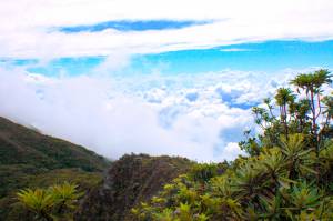 desde la cima del pico occidental