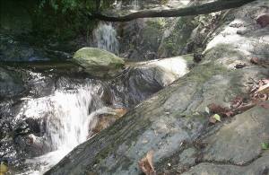 Quebrada las adjuntas