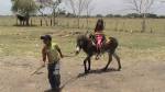 paseo en burro