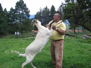 manuel mi esposo con la chiva 