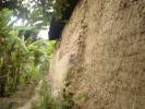 Casa de tapial (bahareque) Vitichas 