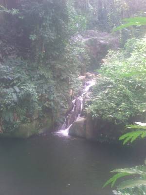 Cascada de Novito.