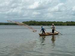 Pescadores lanzando la red