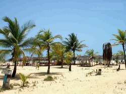 Vista de una playa tropical