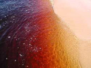 Red water and pink sand in Canaima