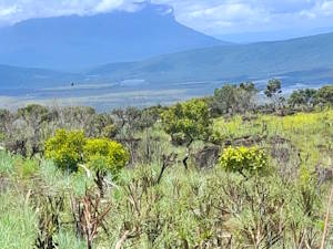 El carrao y el Auyantepuy al fondo