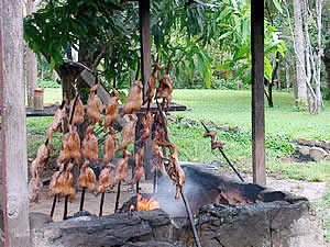 Pollo en Vara, Campamento Parakaupa