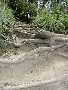 Escalones del Pico Occidental