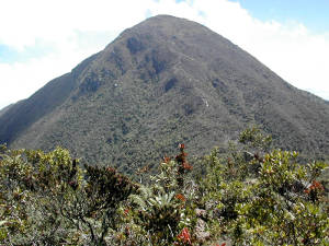Pico Oriental